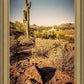 Phoenix Cactus Hill