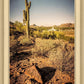 Phoenix Cactus Hill