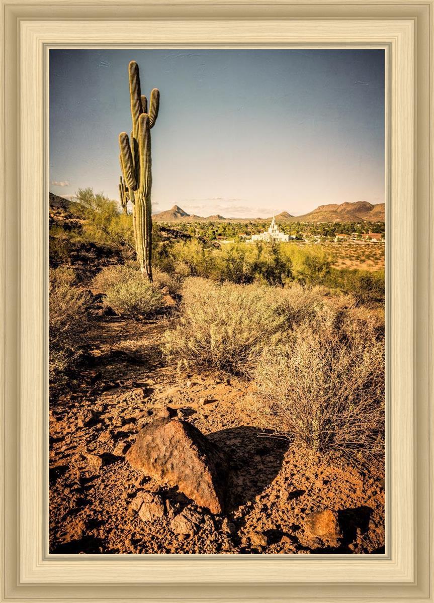 Phoenix Cactus Hill