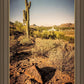 Phoenix Cactus Hill