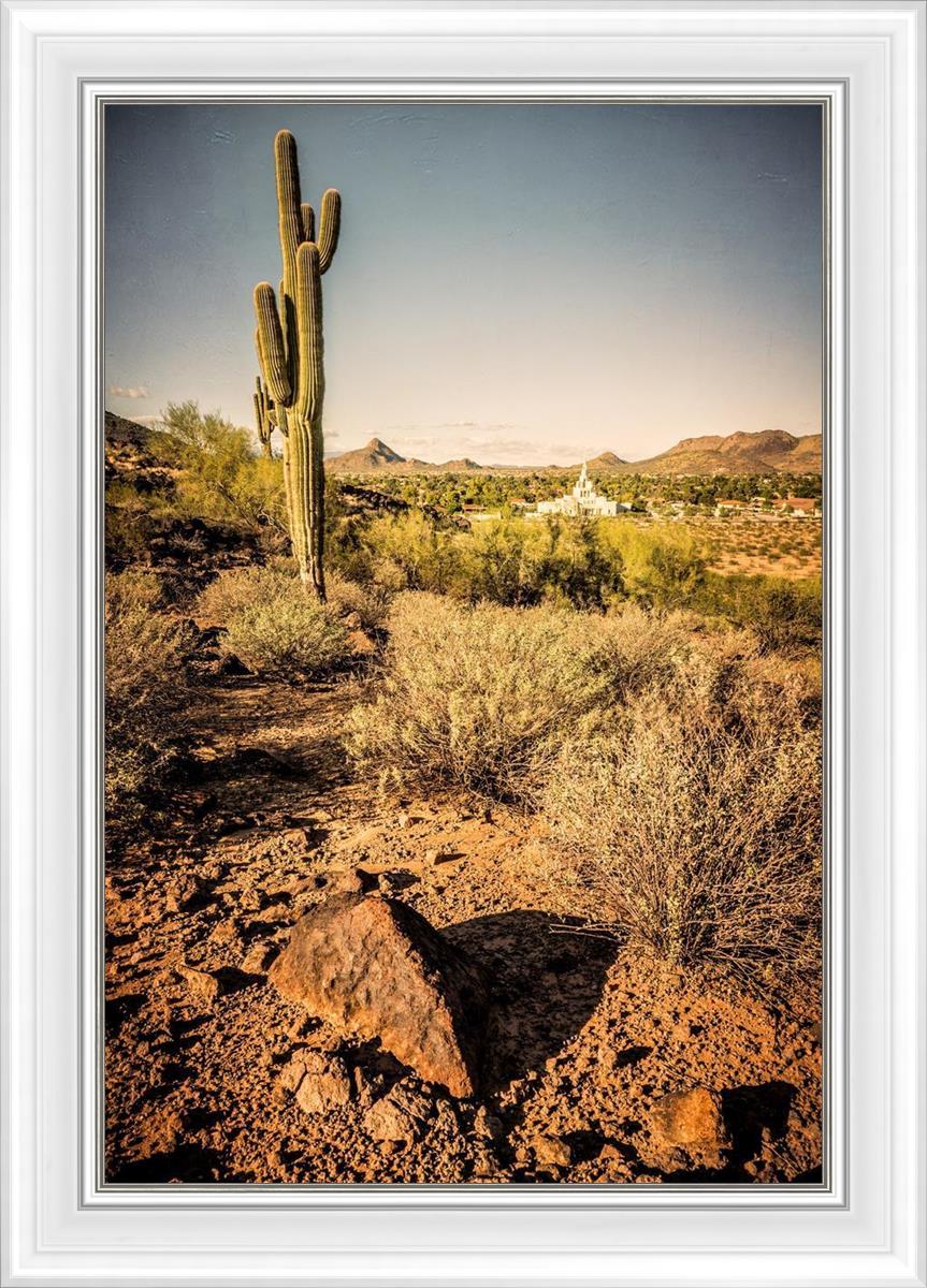 Phoenix Cactus Hill