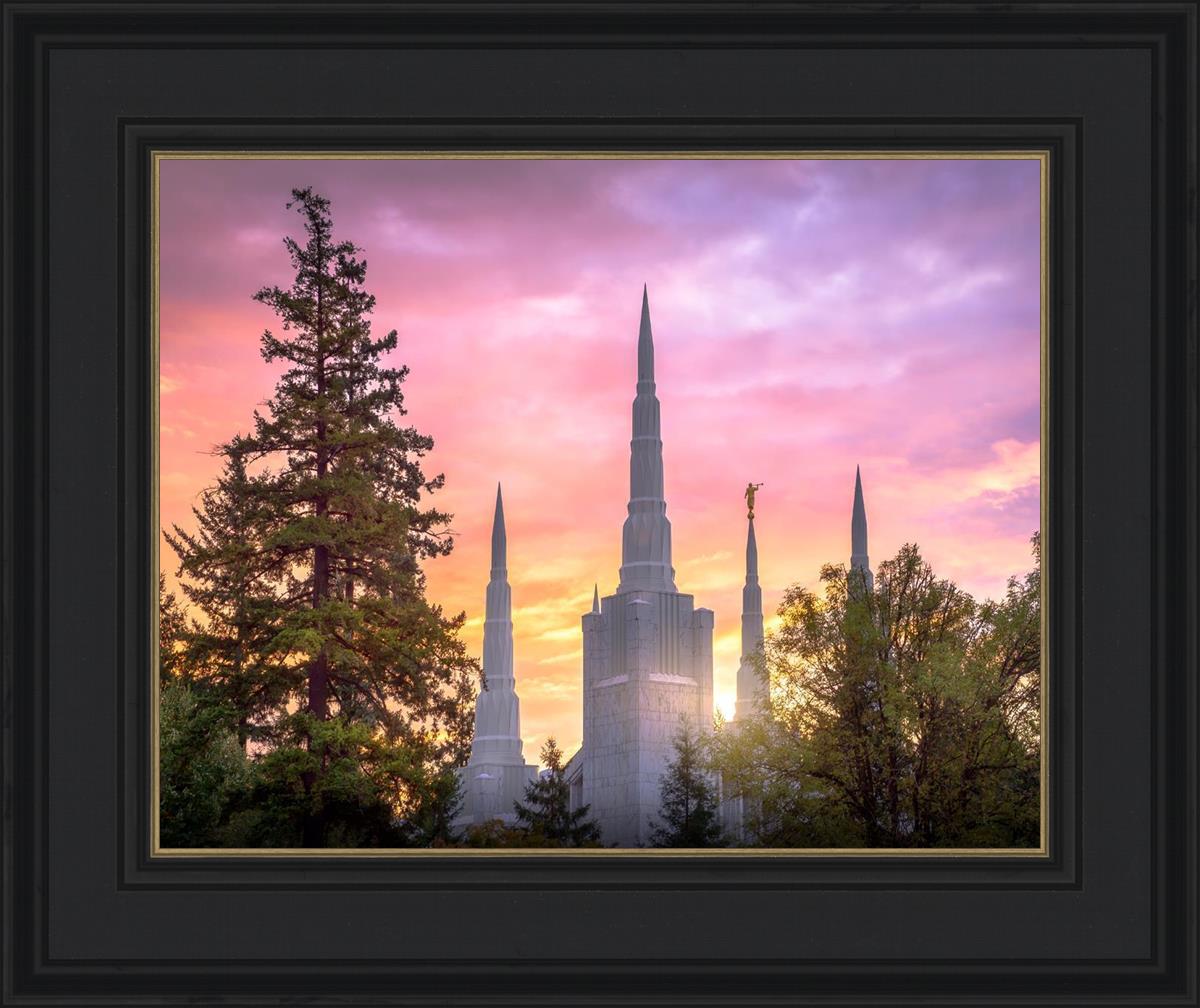 Portland Sunrise