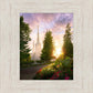 Portland Garden Circle