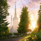 Portland Garden Circle