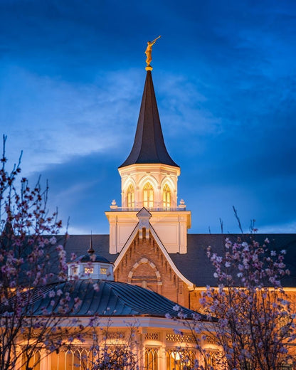 Provo City Center Blue and Gold