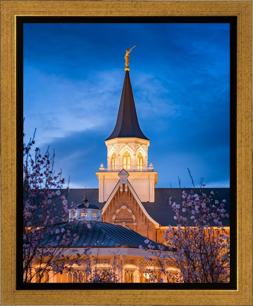 Provo City Center Blue and Gold Gallery Wrap