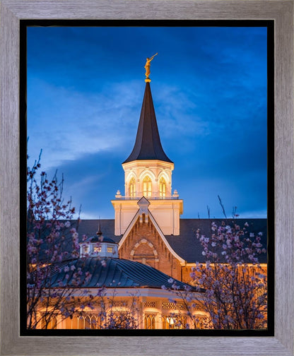 Provo City Center Blue and Gold