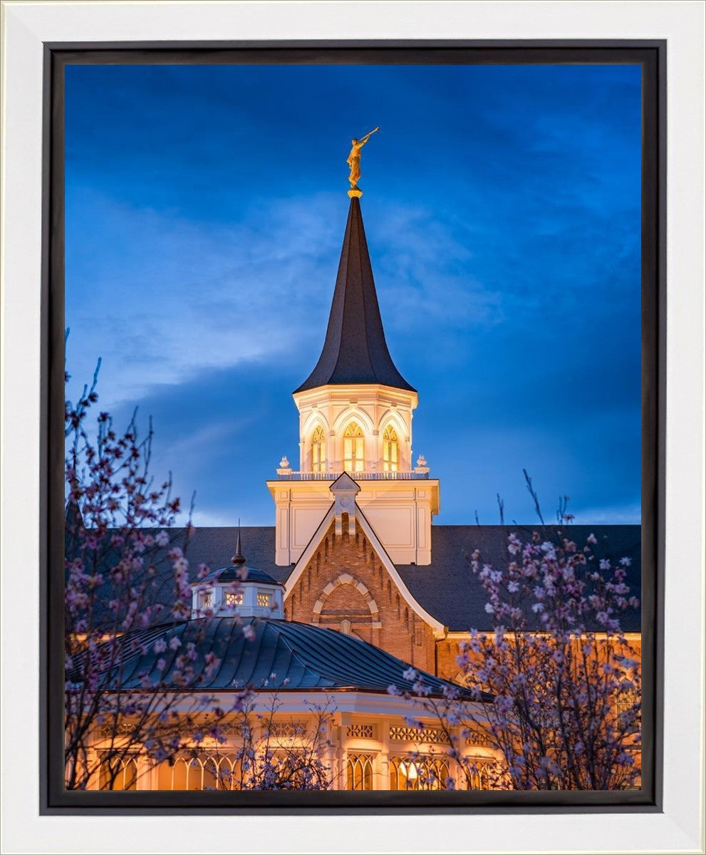 Provo City Center Blue and Gold Gallery Wrap