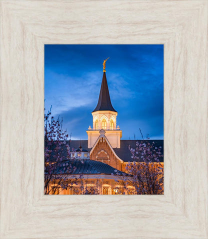 Provo City Center Blue and Gold