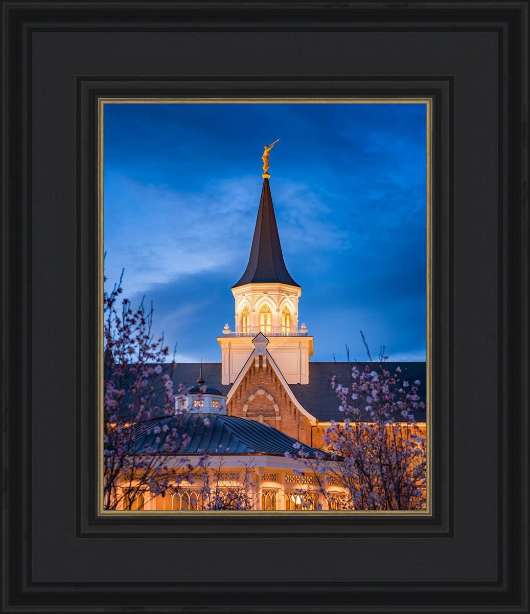 Provo City Center Blue and Gold