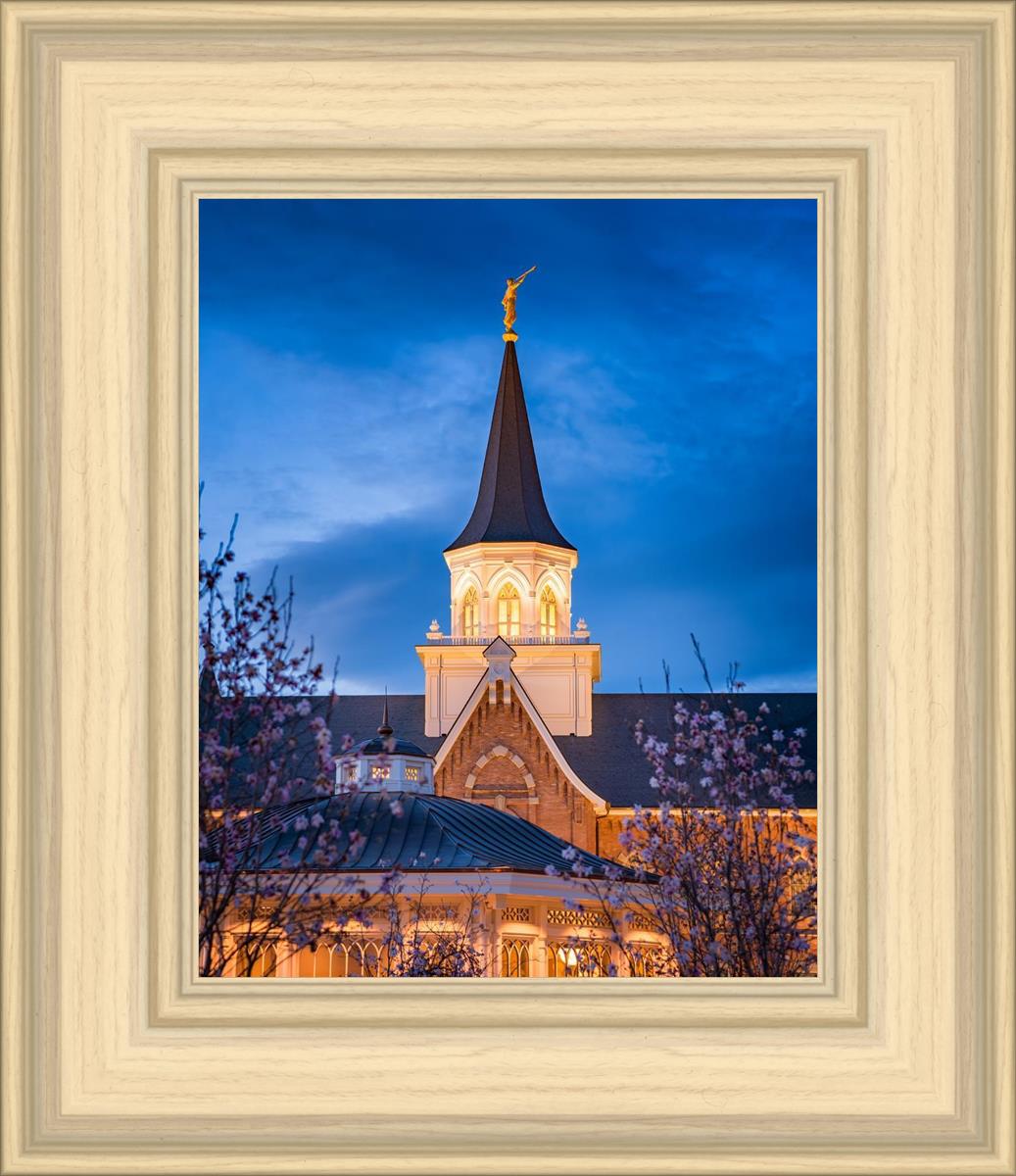 Provo City Center Blue and Gold
