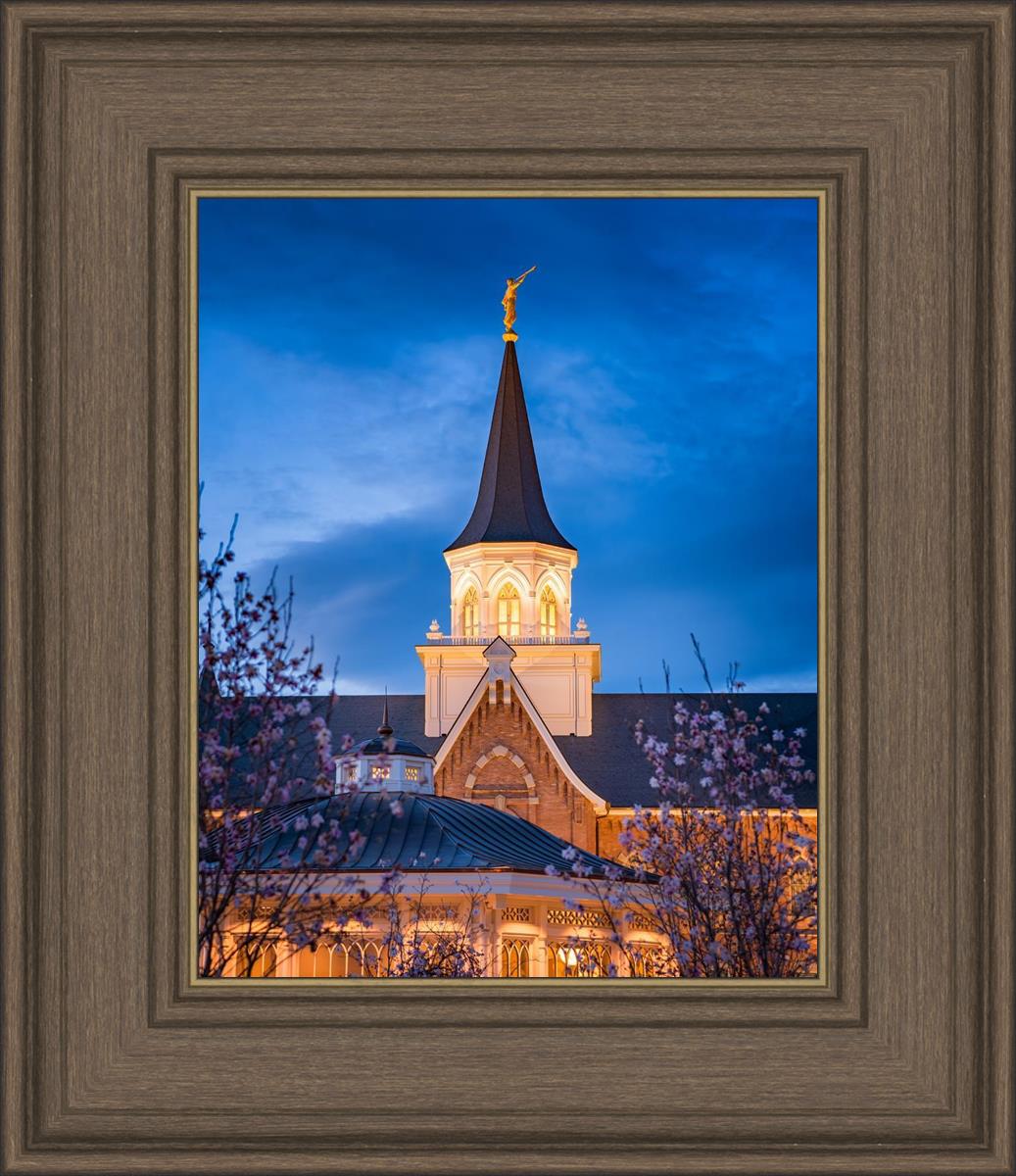 Provo City Center Blue and Gold