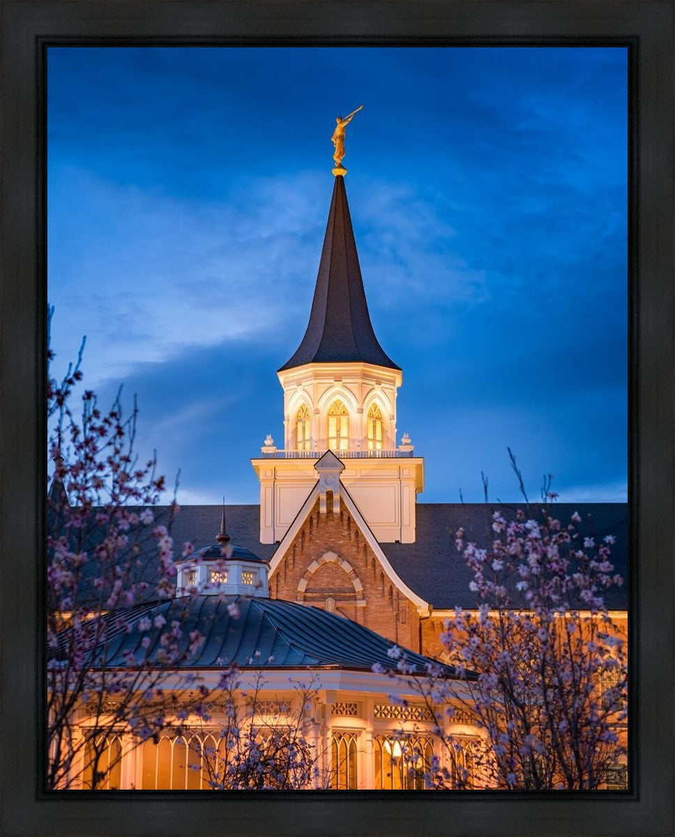 Provo City Center Blue and Gold Gallery Wrap