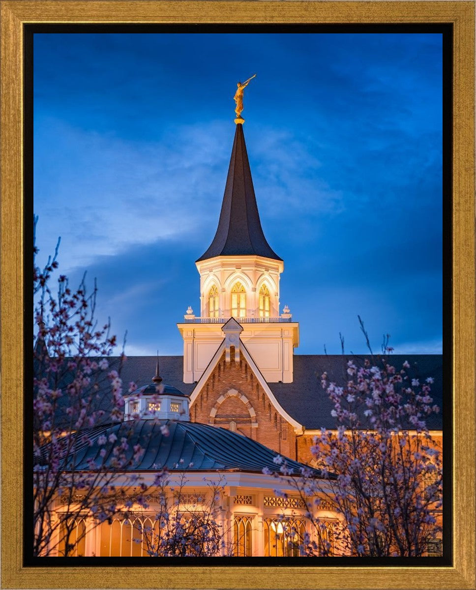 Provo City Center Blue and Gold Gallery Wrap