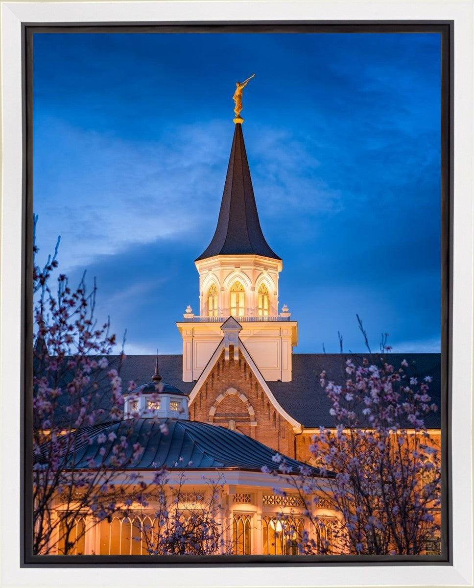 Provo City Center Blue and Gold Gallery Wrap