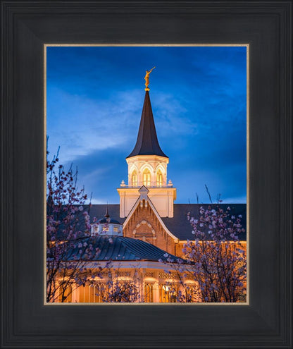 Provo City Center Blue and Gold