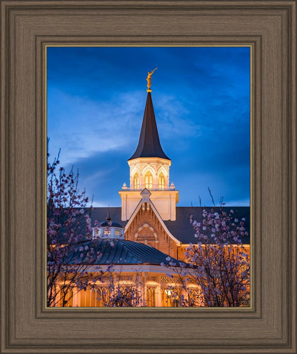 Provo City Center Blue and Gold