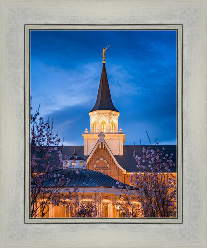 Provo City Center Blue and Gold