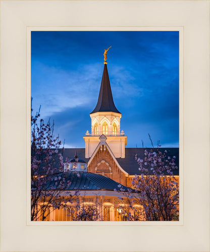 Provo City Center Blue and Gold