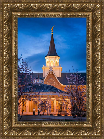 Provo City Center Blue and Gold