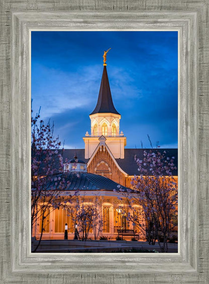 Provo City Center Blue and Gold