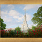 Sacramento Flowers