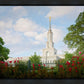 Sacramento Flowers