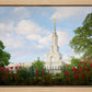Sacramento Flowers