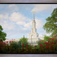 Sacramento Flowers