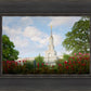 Sacramento Flowers