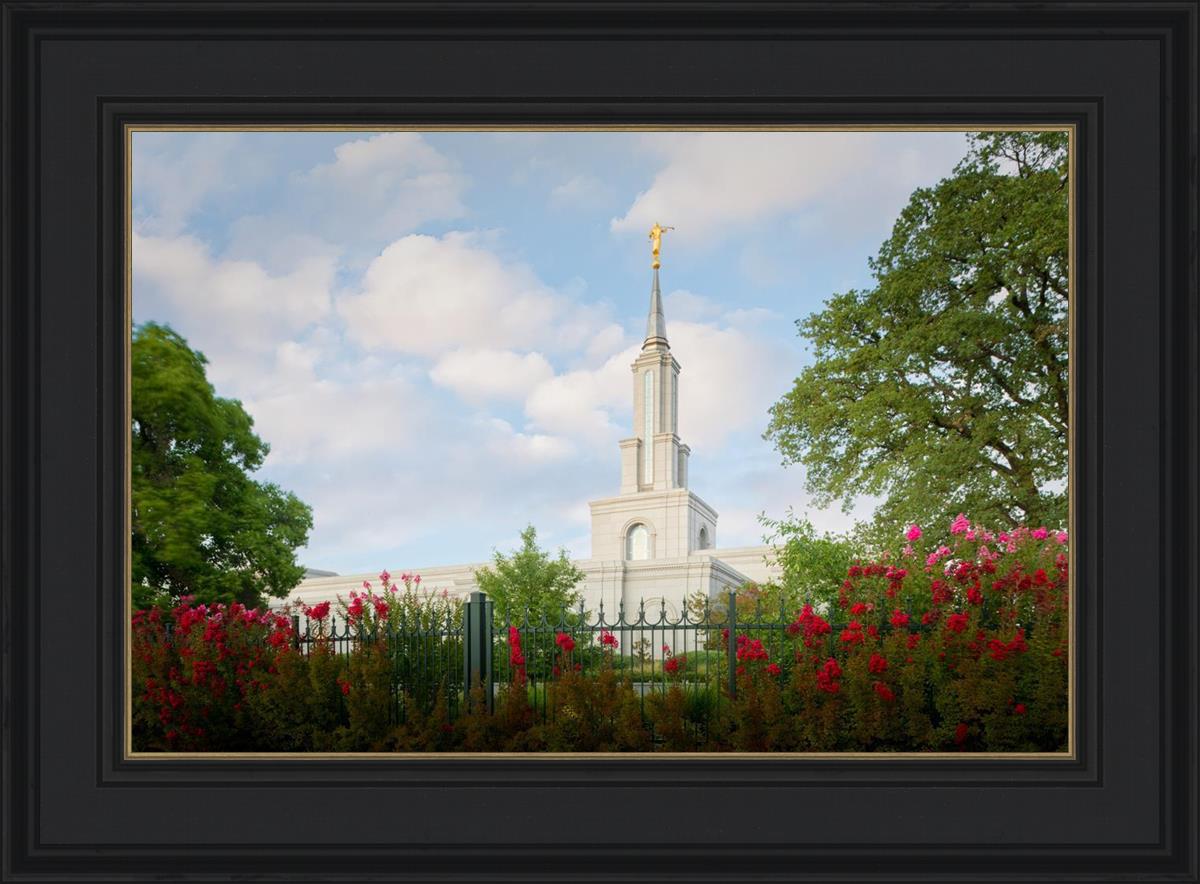 Sacramento Flowers