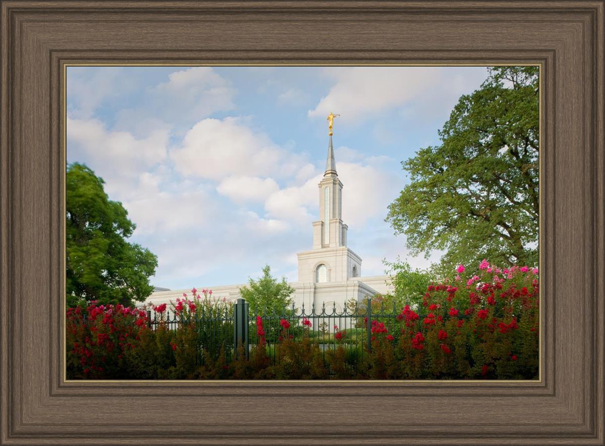 Sacramento Flowers