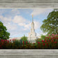 Sacramento Flowers