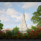 Sacramento Flowers