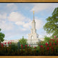 Sacramento Flowers