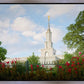 Sacramento Flowers