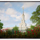 Sacramento Flowers