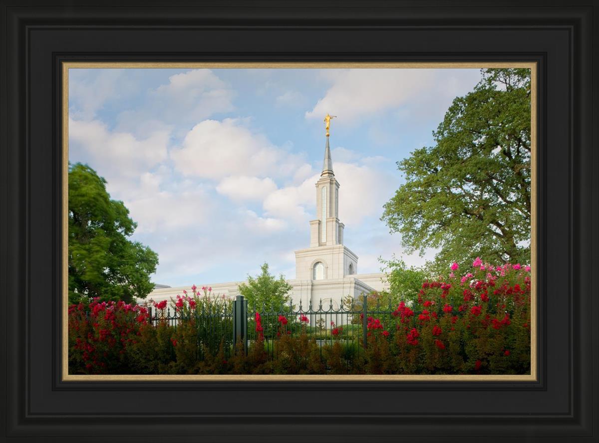 Sacramento Flowers