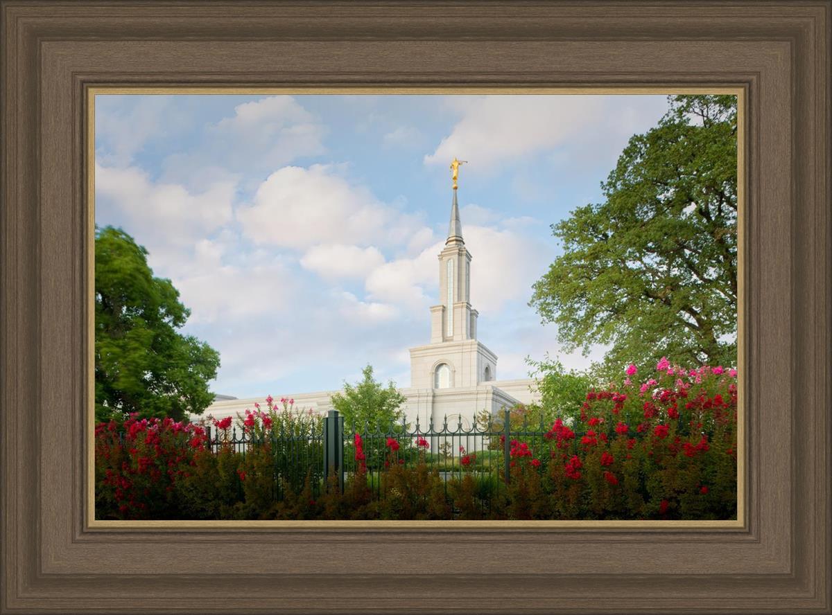 Sacramento Flowers