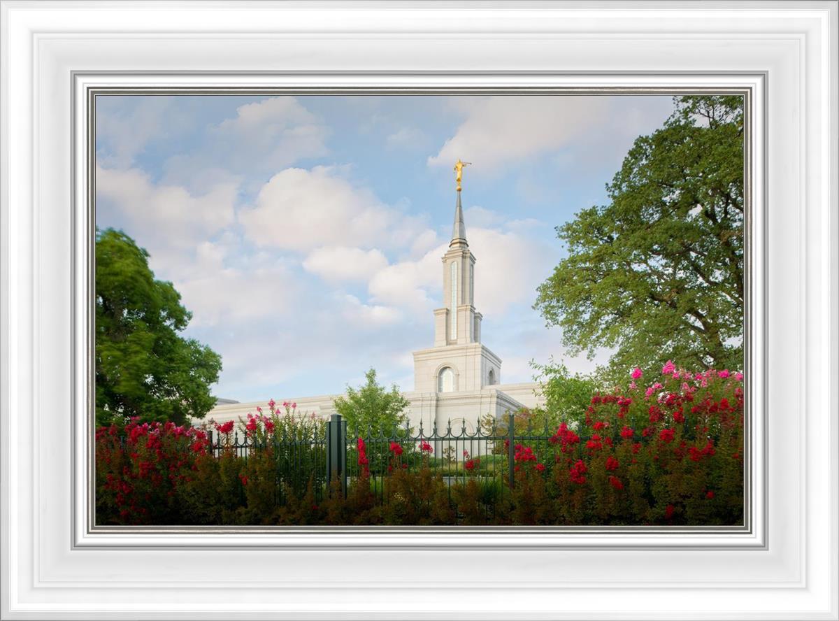 Sacramento Flowers