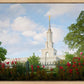 Sacramento Flowers