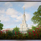 Sacramento Flowers