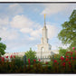 Sacramento Flowers