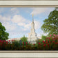 Sacramento Flowers