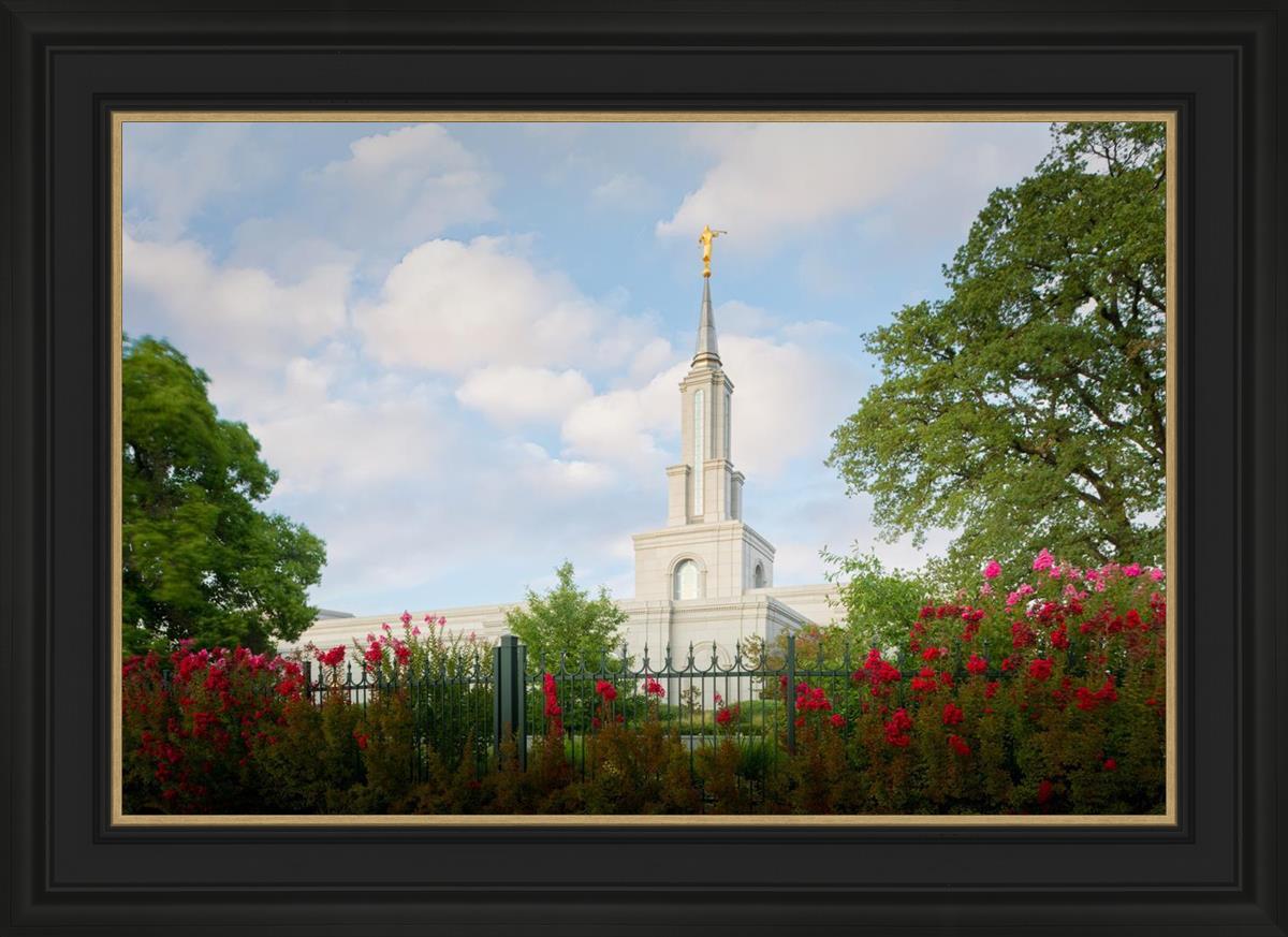 Sacramento Flowers