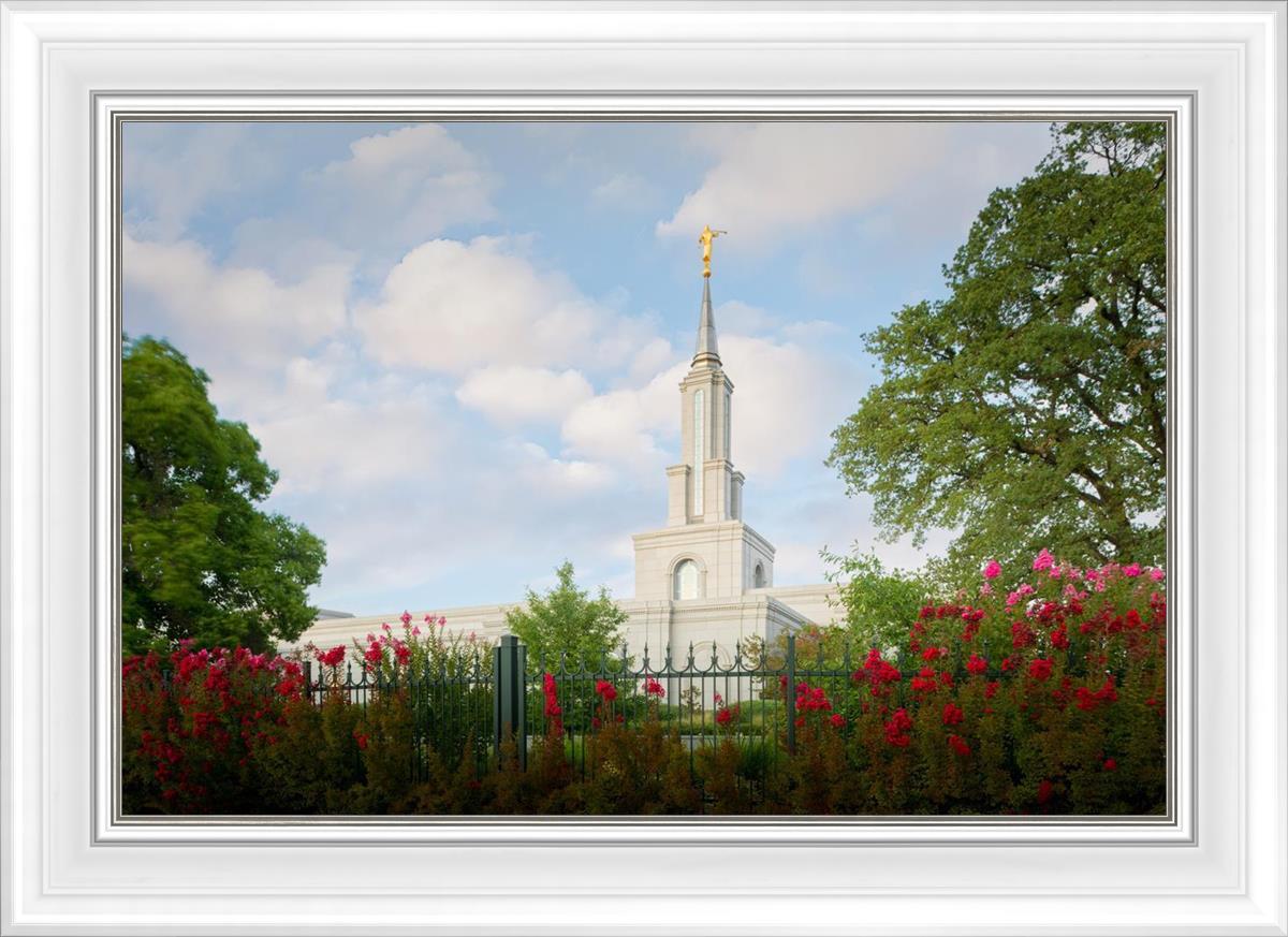 Sacramento Flowers
