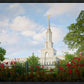 Sacramento Flowers