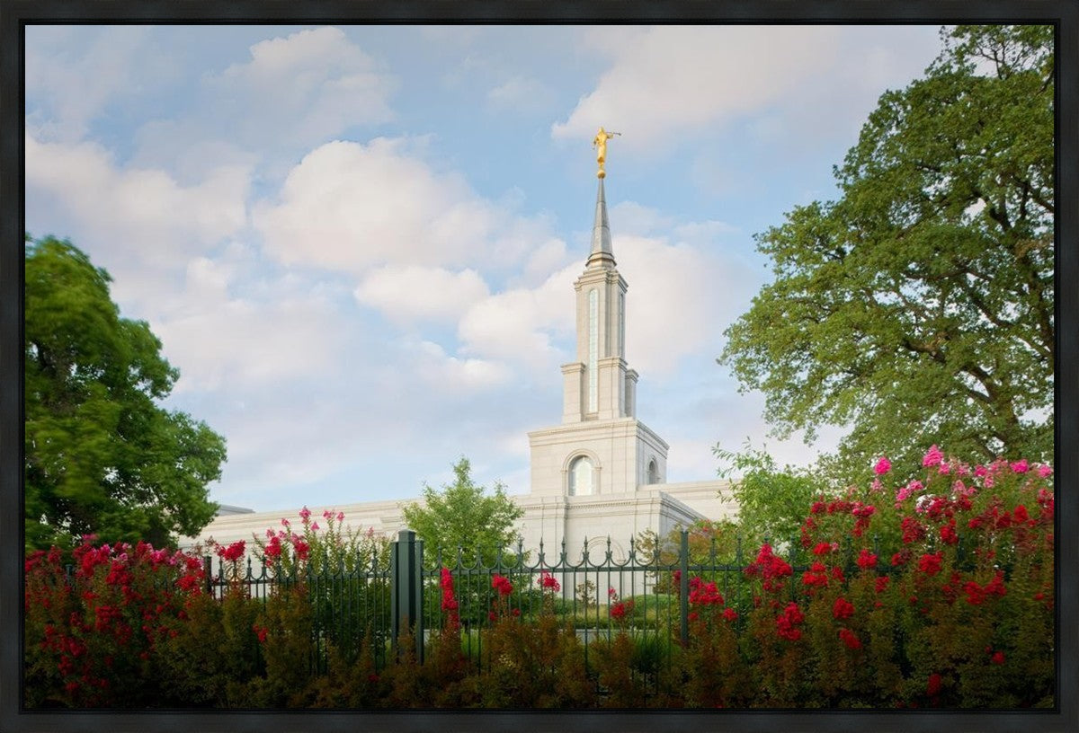 Sacramento Flowers