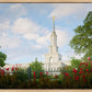 Sacramento Flowers