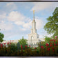 Sacramento Flowers